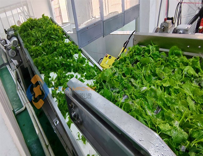 客戶(hù)使用清洗機(jī)清洗桑葉